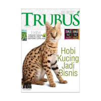 TRUBUS : HOBI KUCING JADI BISNIS