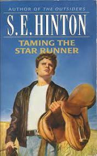 Taming The Star Runner