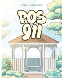 Pos 911